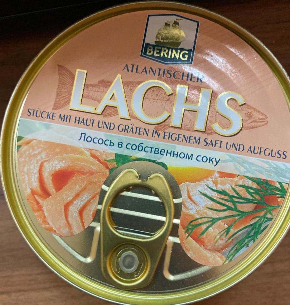 Fotografie - Atlantischer Lachs Stücke mit Haut und Gräten in Eigenem Saft und Aufguss Bering