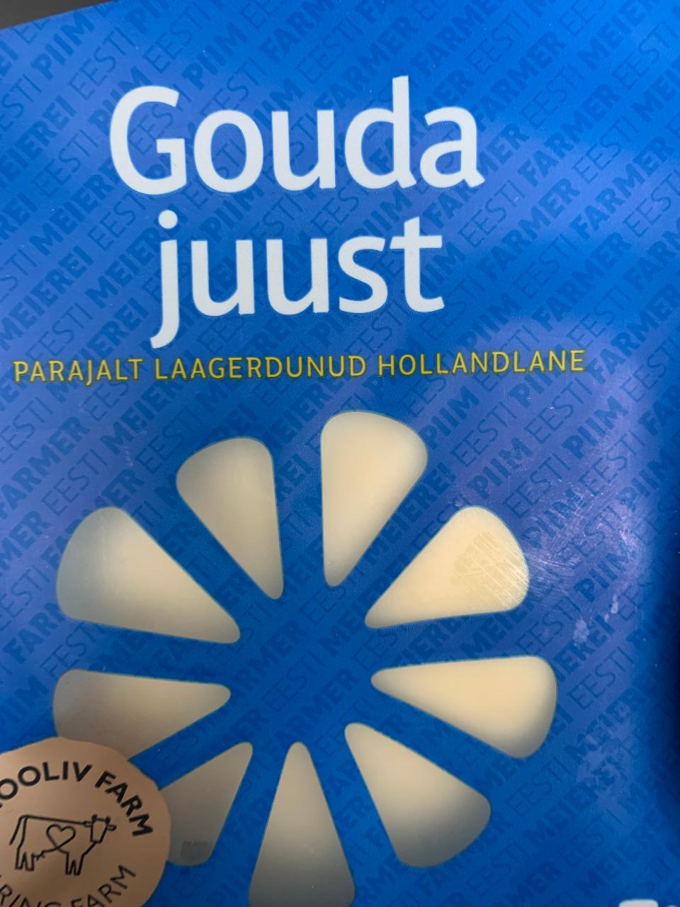 Fotografie - Gouda juust Epiim