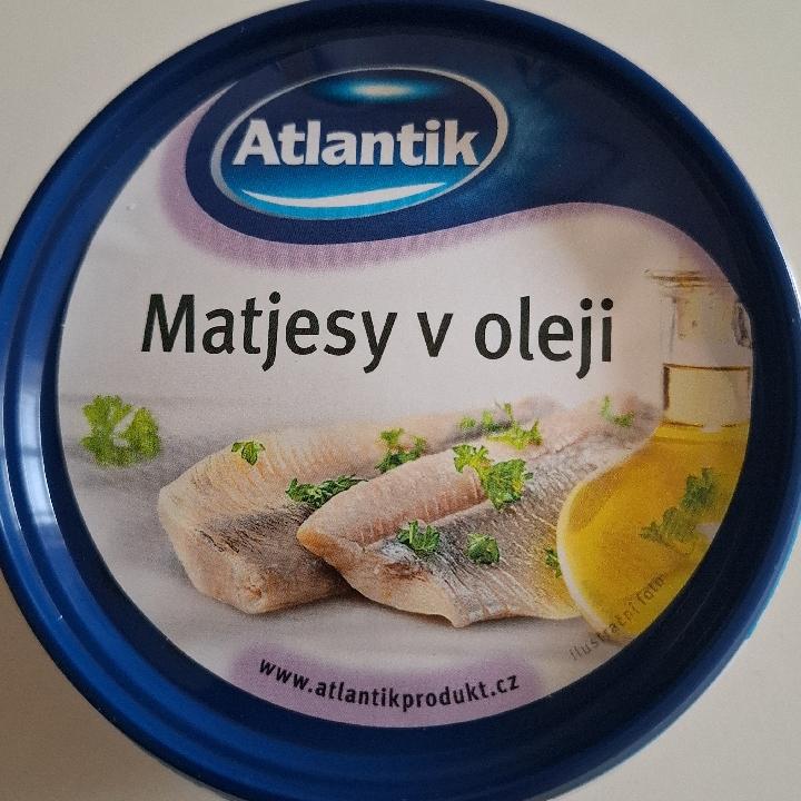 Fotografie - Matjesy v oleji Atlantik