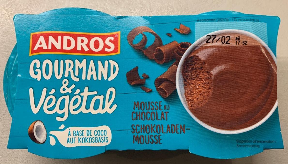 Fotografie - Mousse au chocolat Andros