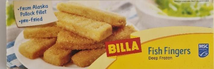 Fotografie - Fish fingers deep frozen Billa