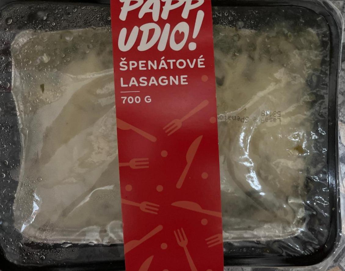 Fotografie - Špenátové lasagne Papp Udio!