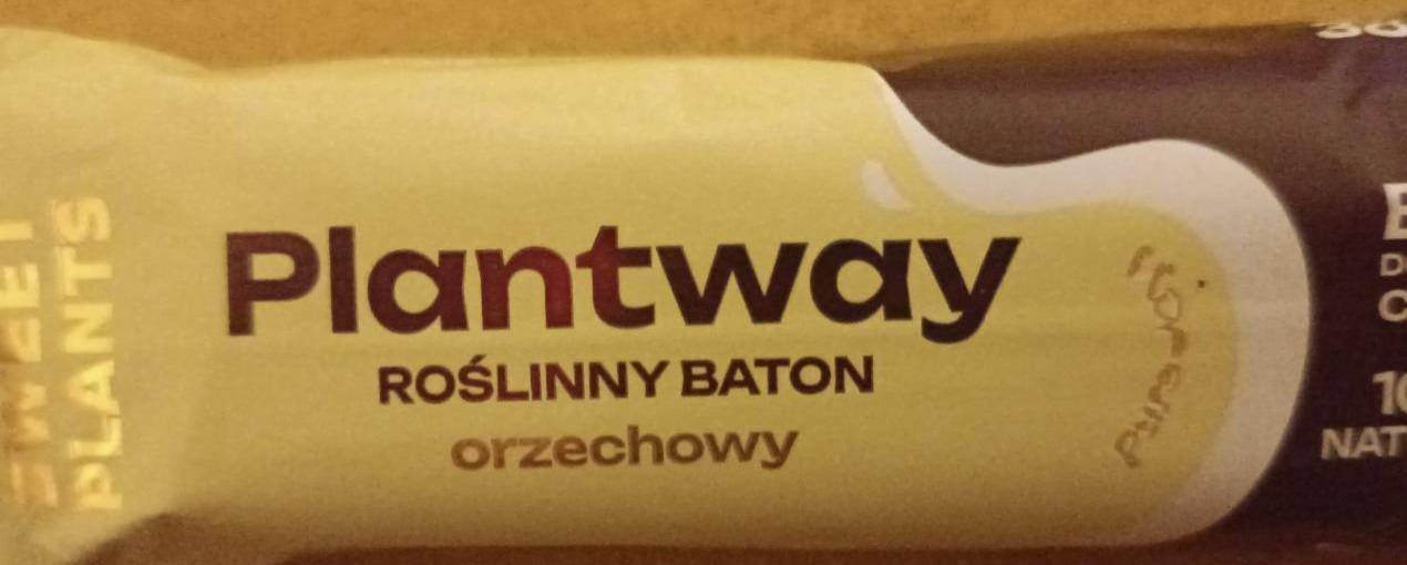 Fotografie - Plantway rostlinny baton orzechowy