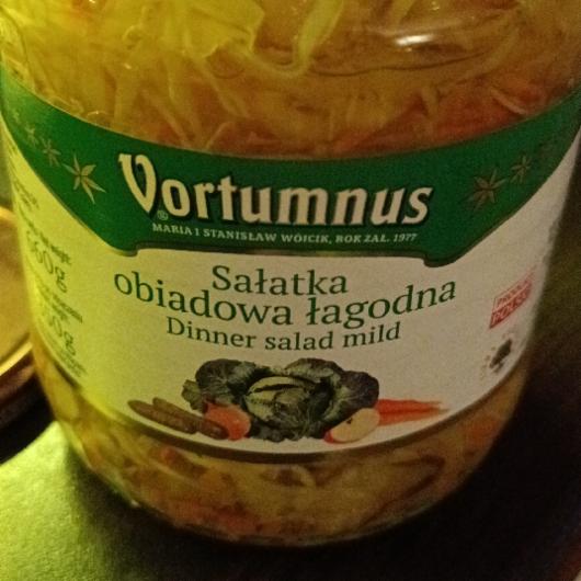 Fotografie - Sałatka obiadowa łagodna Vortumnus