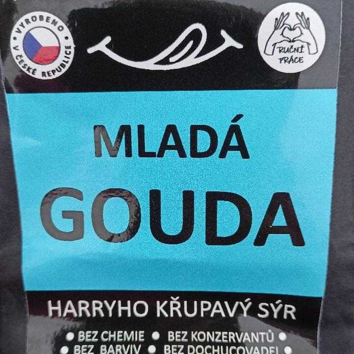 Fotografie - Mladá gouda Harryho křupavý sýr