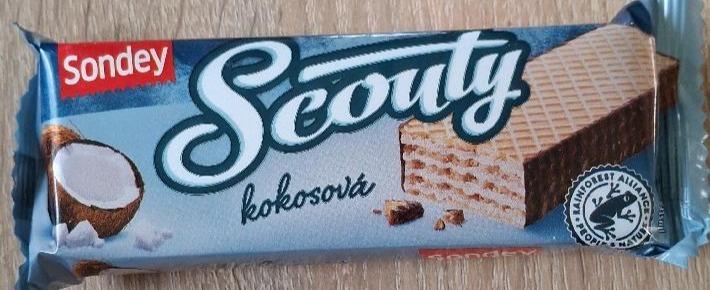 Fotografie - Scouty kokosová Sondey