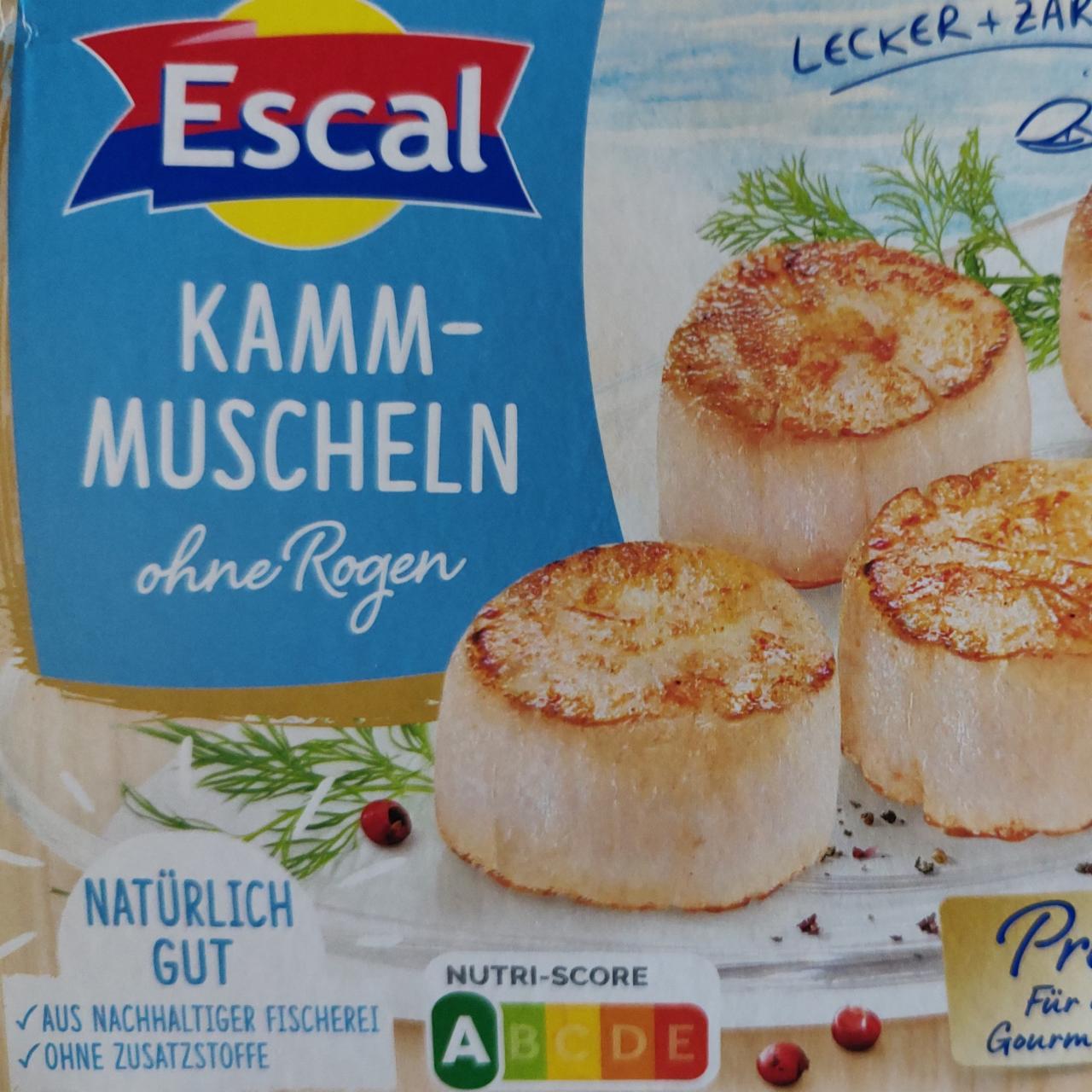 Fotografie - Kammmuschelfleisch ohne rogen Escal