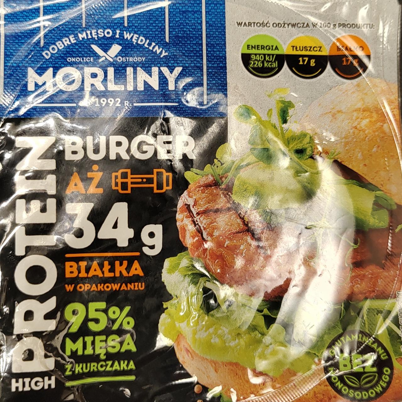 Fotografie - Burger protein Morliny