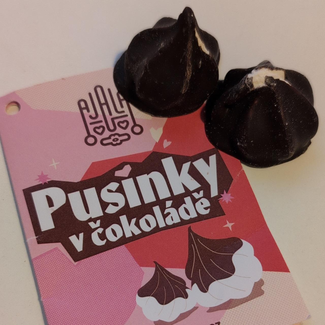 Fotografie - Pusinky v čokoládě Ajala