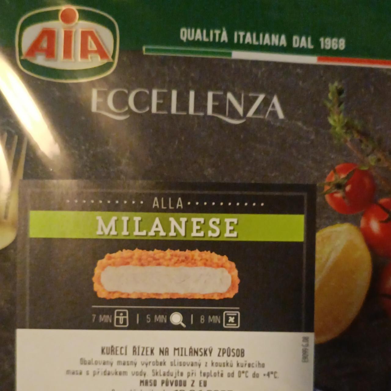 Fotografie - Ala milanese AIA