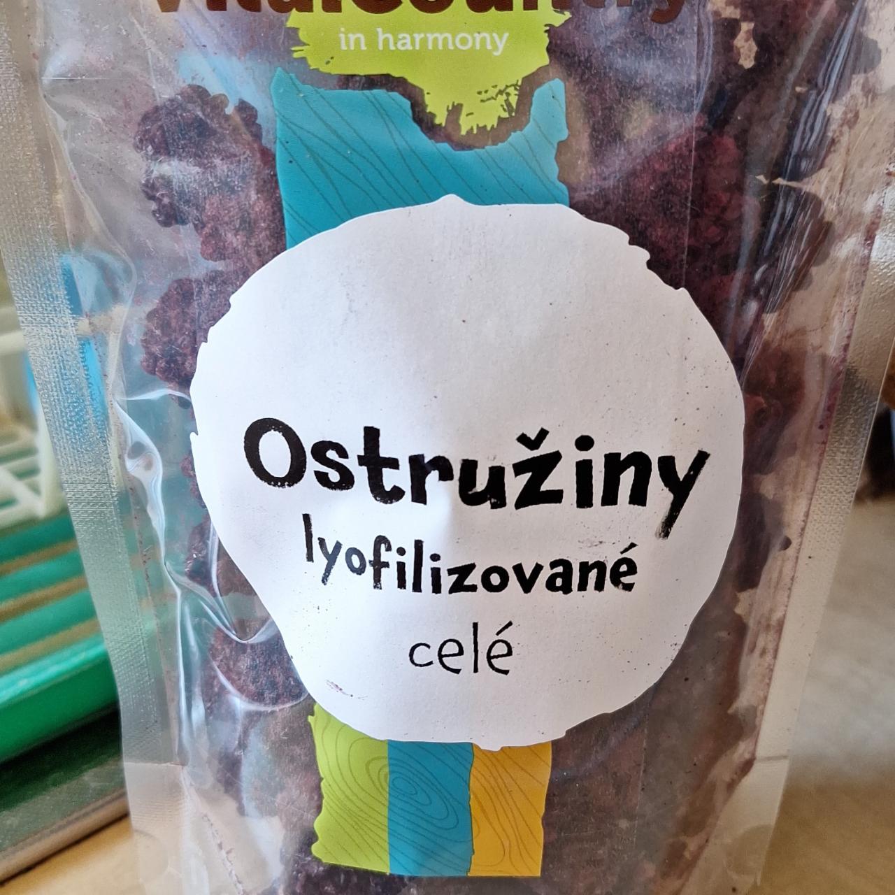 Fotografie - Ostružiny lyofilizované VitalCountry