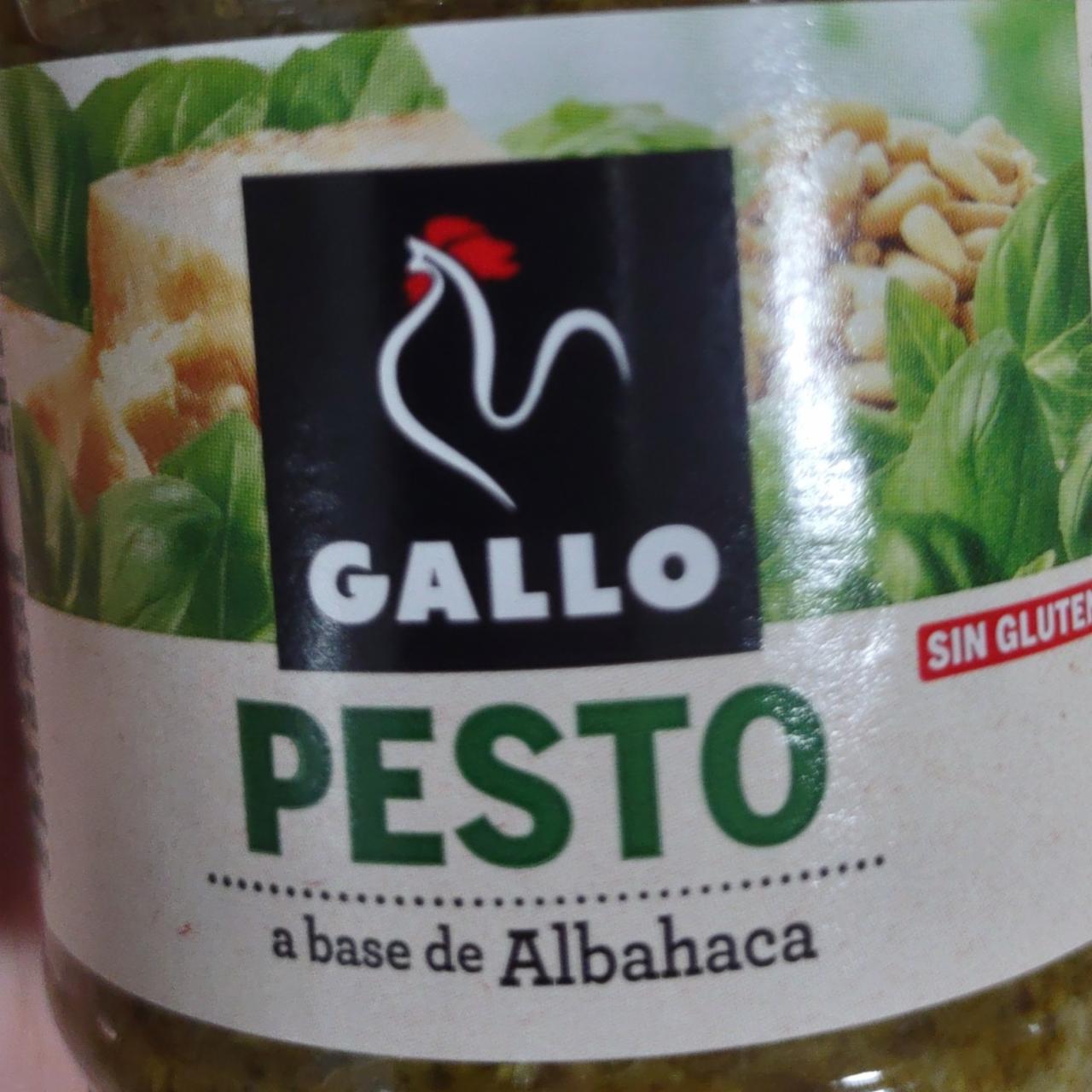Fotografie - Pesto a base de Albahaca Gallo
