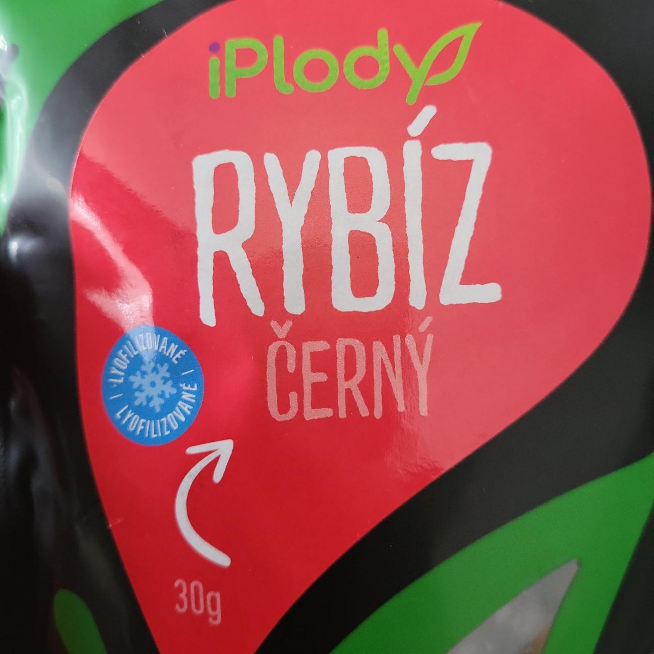 Fotografie - Rybíz černý iPlody