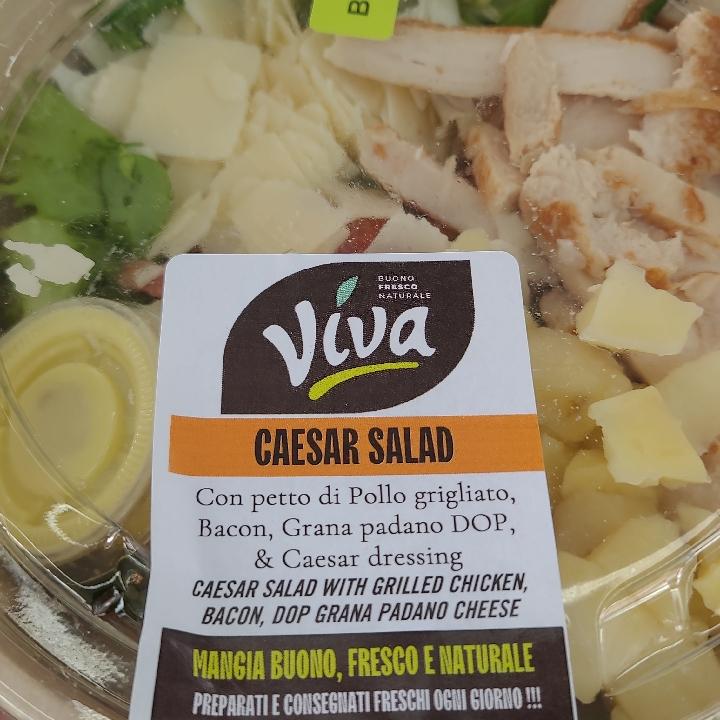 Fotografie - Caesar salad Viva