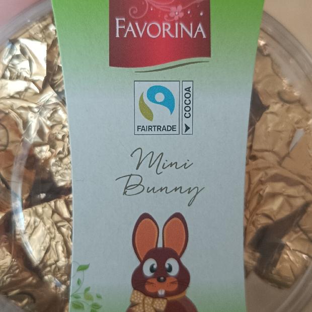 Fotografie - Mini bunny Favorina