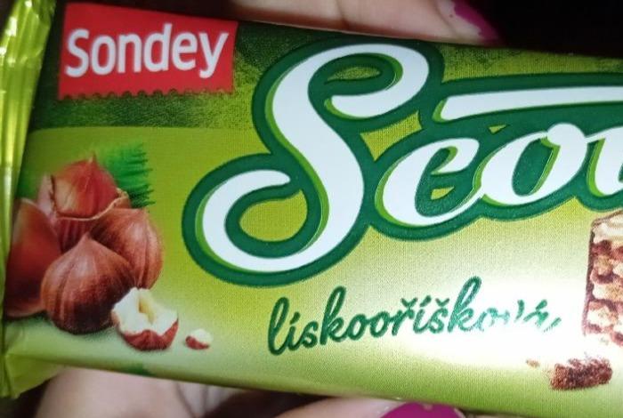 Fotografie - Scouty lískooříšková Sondey