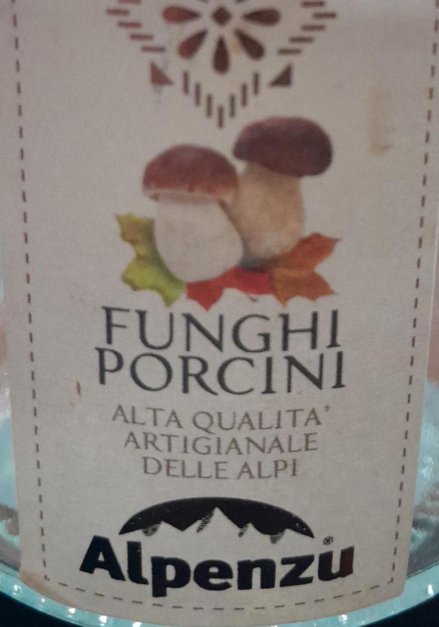 Fotografie - Funghi porcini Alpenzu